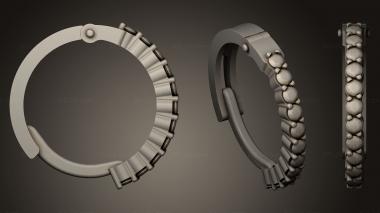 Jewelry rings Earrings 3d model